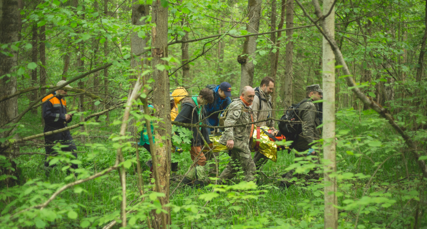 Кировские волонтеры вновь занялись поисками мужчины, пропавшего летом 2024 года