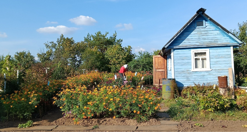 С 7 июня полностью будут запрещены скважины на участке: заставят убрать