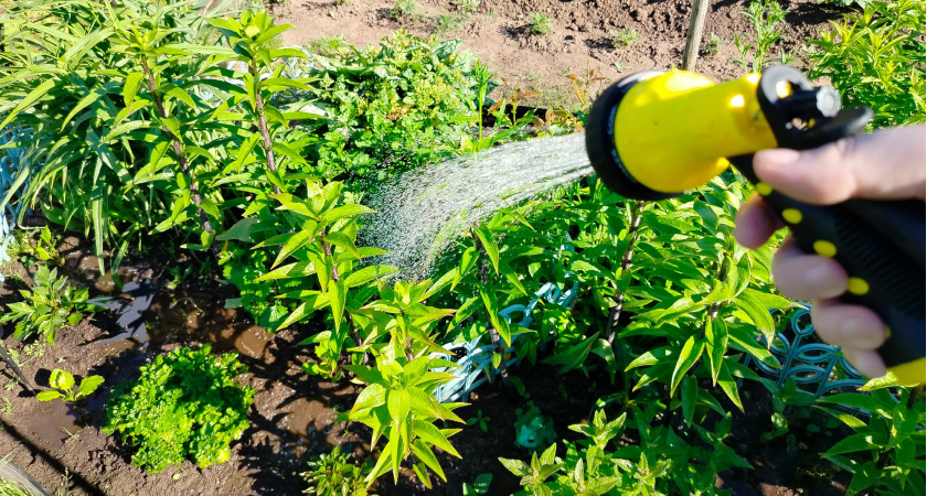 Нашел бюджетное решение, чем закрыть дорожки между грядок на участке - сорняки больше не надоедают