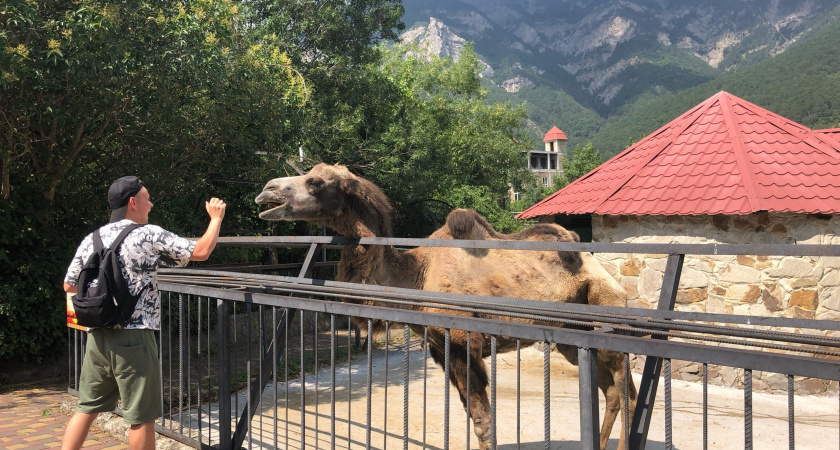 Сочи и Анапа - все: на пляжи запрещен вход на год - куда эксперты советуют теперь ехать на море