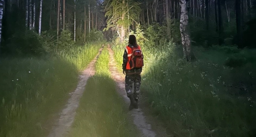 В поселке Красная Поляна пропал 12-летний мальчик