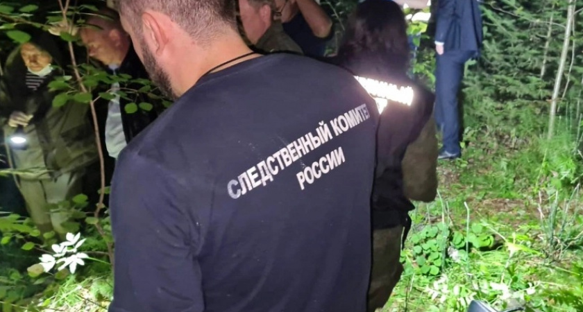 Жуткое убийство мальчика и семимесячные поиски пропавшего мужчины: какие новости читали кировчане на неделе