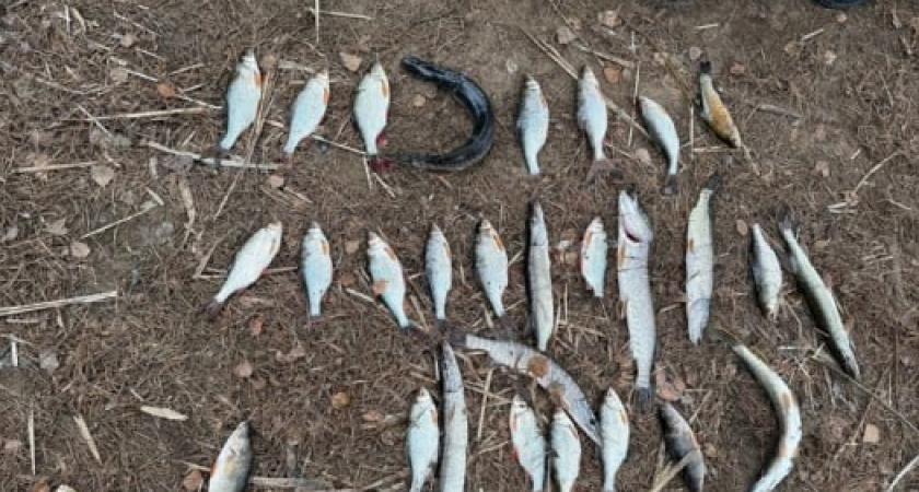 В Оричевском районе перед судом предстанут браконьеры