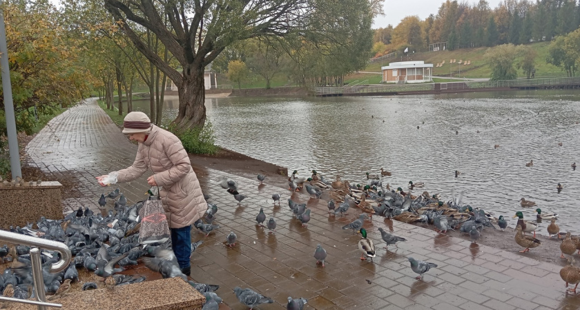 С 1 июля будет полностью бесплатно для всех пенсионеров: вводится новая долгожданная льгота