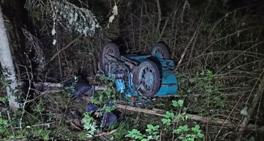 На лесной дороге в Советском районе разбился мотоциклист