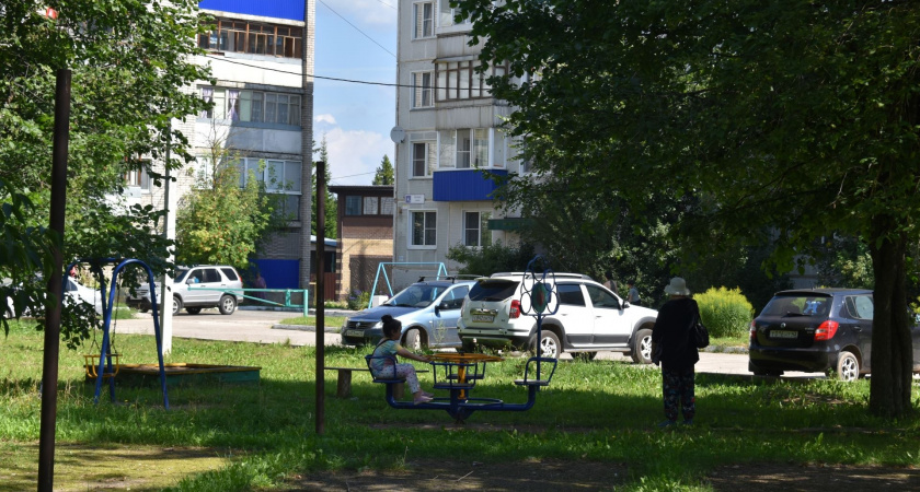 В Музыкальном сквере Кирова появится чудо-дерево