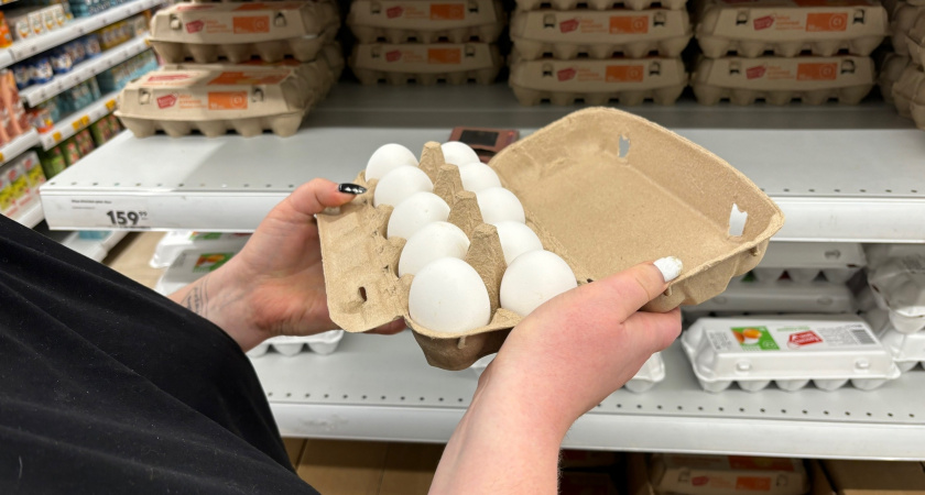 В Кировской области цены на яйца откатились до уровня октября 2023 года