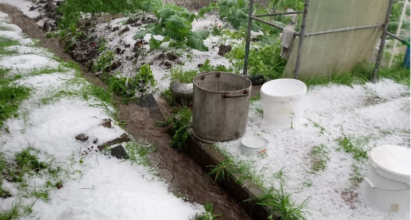 "Затопило огород, переломало посадки и повалило деревья": жители Кировской области делятся последствия шторма в регионе