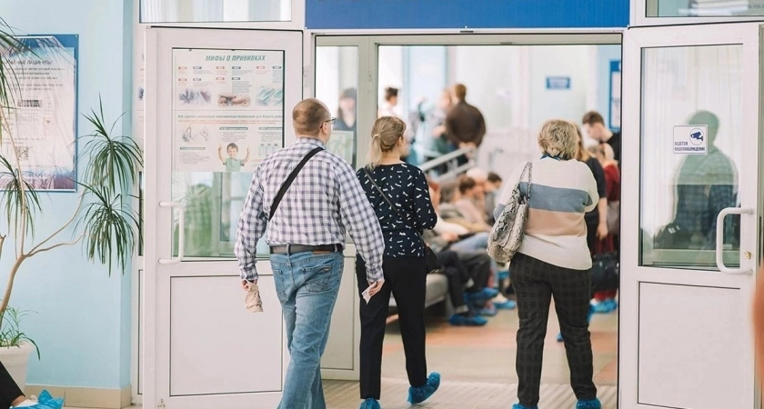 В конце июня клещи заразили еще 25 кировчан энцефалитом, 26 – боррелиозом