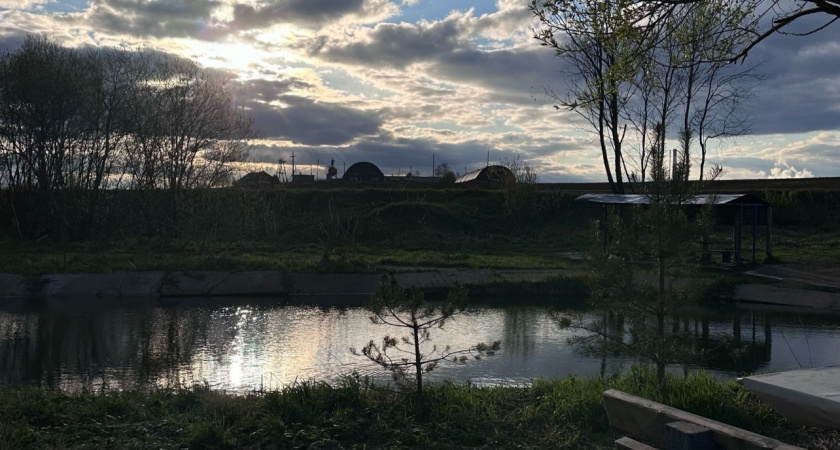 Увидел на даче странное растение, потрогал и сильно пожалел: знакомство с необычным и вонючим грибом