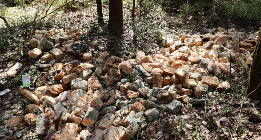 Кировская пекарня ликвидировала свалку хлеба в лесу