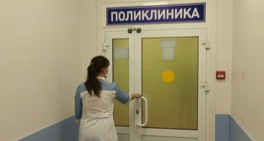 Клещи заразили энцефалитом еще 17 жителей Кировской области, 13 – боррелиозом