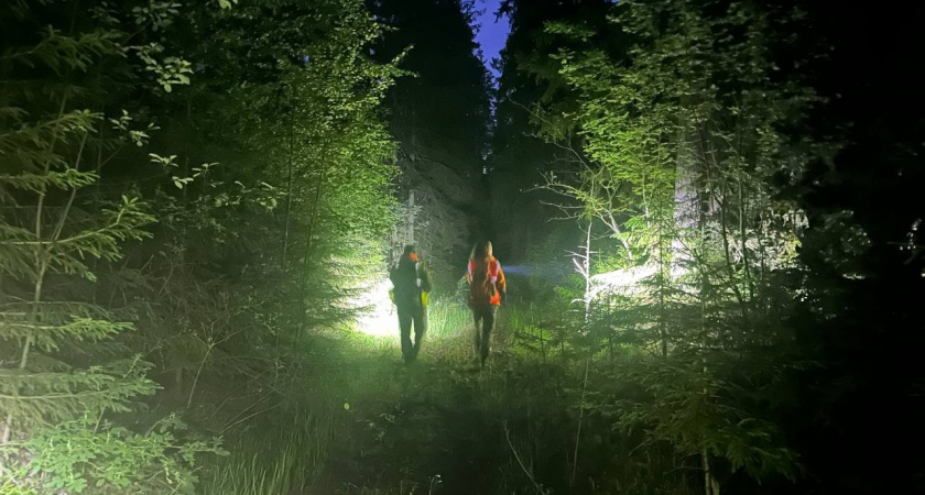 Кировские волонтеры сообщили об исчезновении мужчины в желтой футболке