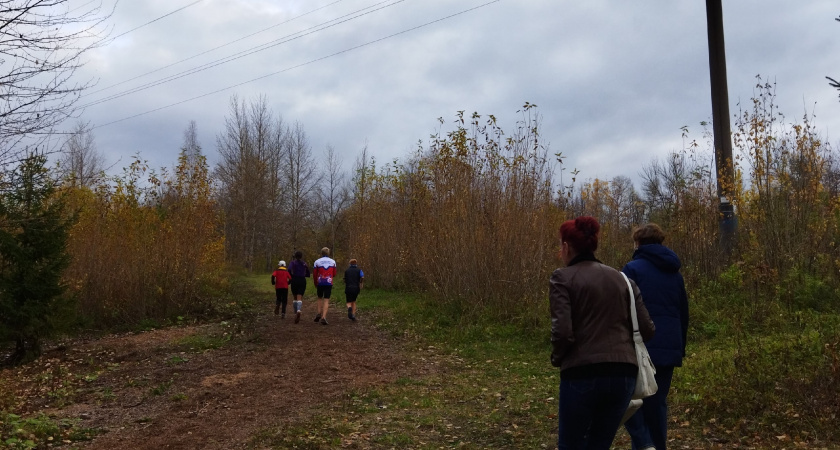 В Кировской области отмечается снижение активности клещей