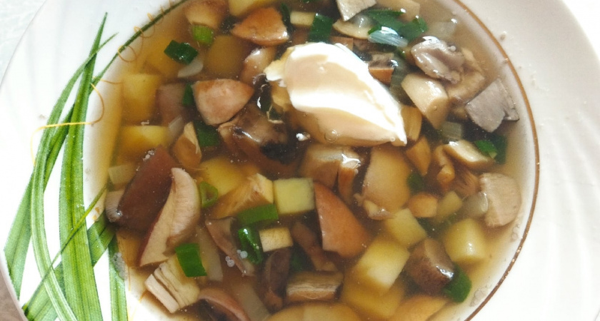 Яд в бульоне: врач рассказала, из каких съедобных грибов не стоит варить суп