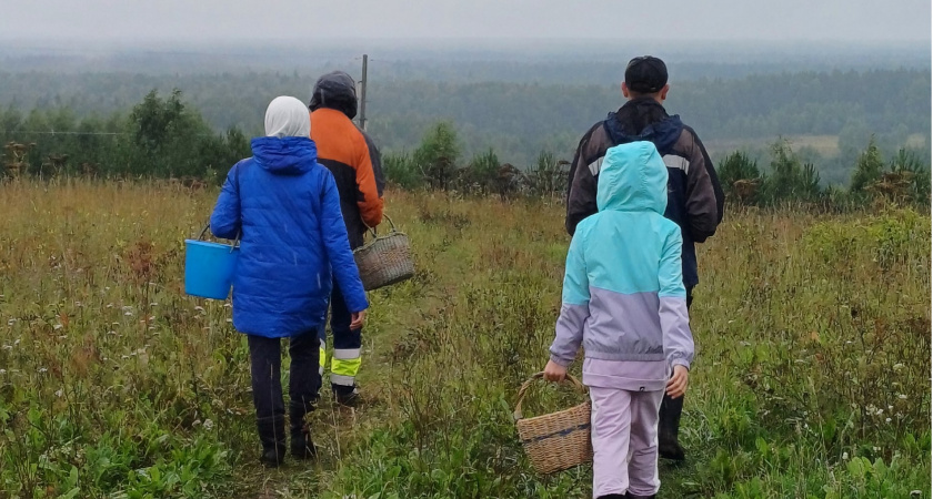 В нашем лесу завелся необычный гриб: во Франции считается одним из самых дорогих и деликатесных