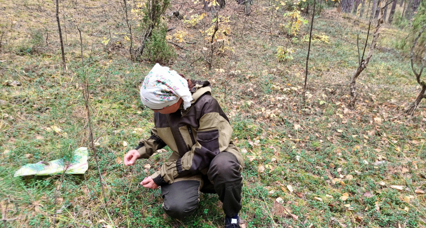 Грибников будут отлавливать и штрафовать: суровое правило коснется каждого