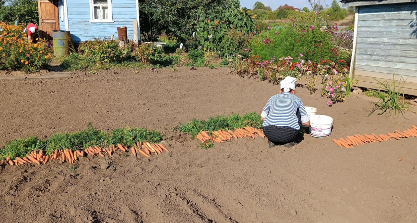 Начнут забирать землю: всех, у кого участок или дача в собственности, ждет неприятный сюрприз