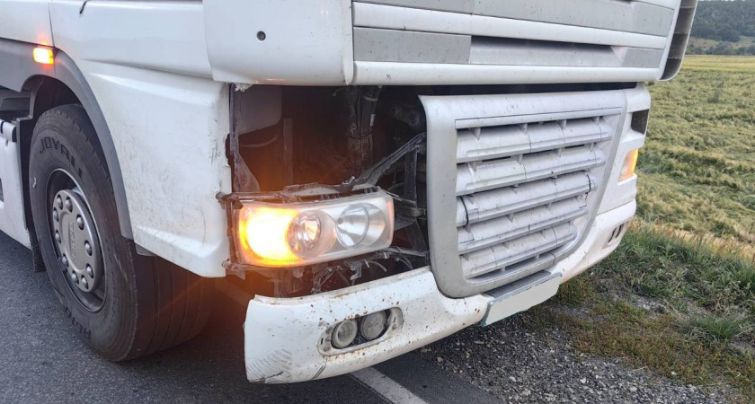 Школьник на велосипеде попал под грузовик на трассе под Вятскими Полянами