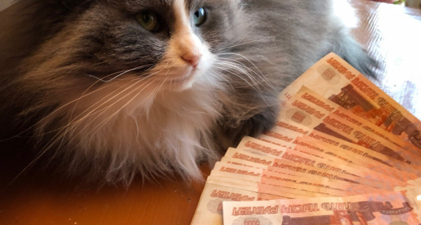 Теперь за снятие наличных "дерут" комиссию: вот как избежать - запомните раз и навсегда