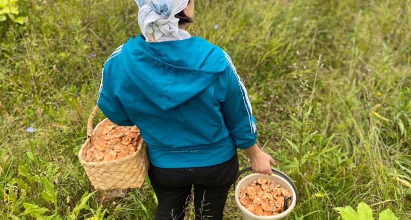 К этим грибам даже прикасаться нельзя - отравитесь. Есть ли такие в наших лесах на самом деле?