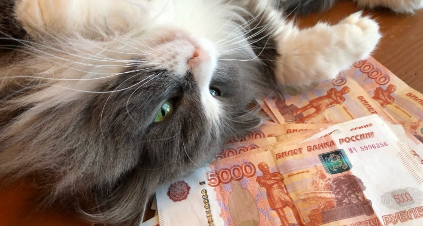 Указ приняли тихо: к удвоенной пенсии добавят секретный бонус. 80-летние россияне получат больше