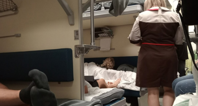  «Нас везли, как скот!»: россияне в шоке от поездов к Черному морю