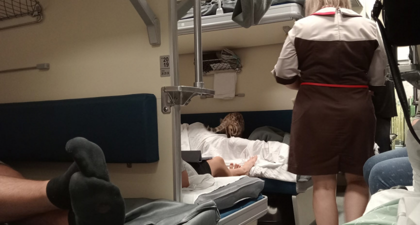 Как не стать "тем самым" пассажиром: названы правила этикета в поезде - заучите назубок