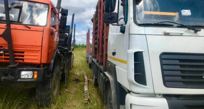 Мужчина погиб на рабочем месте в Тужинском районе