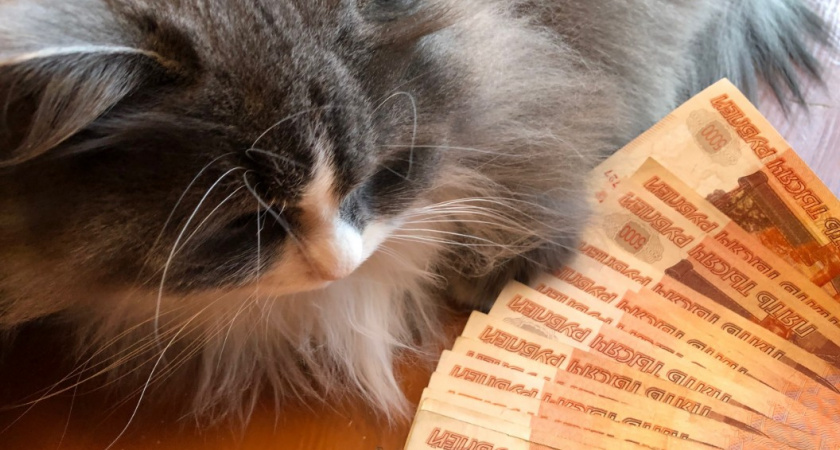 Сделали неожиданное заявление: эту сумму начислят всем пенсионерам одной категории