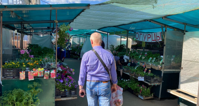 Поддержат при любых неудачах: вспоминайте эти слова психолога Макса Люшера, который дожил до 93 лет