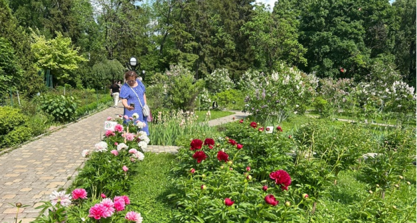 Кировчан предупредили, когда ждать похолодание 