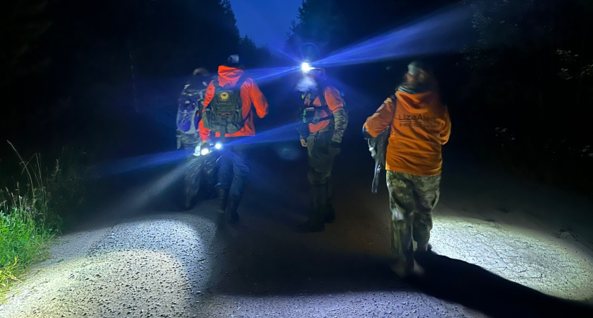 Жительница Юрьянского района пять дней бродила по лесу и нашлась