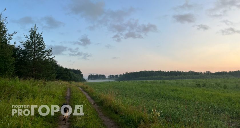 2,3 миллиона квадратных метров целины введут в оборот в Кировской области