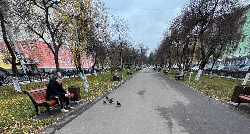 "Температура опустится на 6 градусов": Вильфанд прогнозирует похолодание в августе