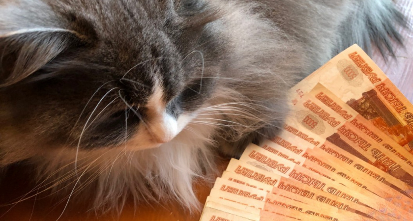 Дождались: работающим пенсионерам начнут приходить повышенные выплаты - кому и сколько