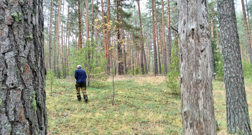 В Кировской области ищут 44-летнего мужчину