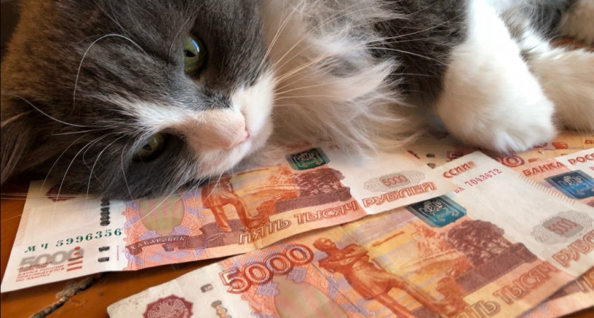 График изменен: названы регионы, в которых пенсию за август дадут досрочно