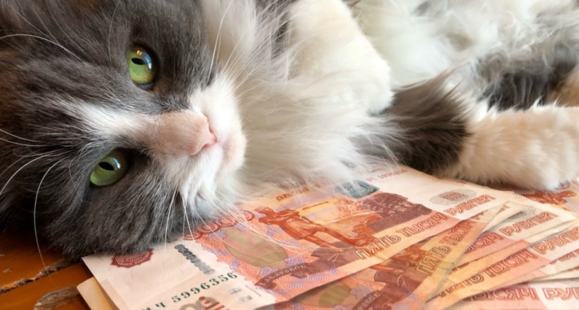 Как купить квартиру с зарплатой 100 тысяч рублей: реальные варианты