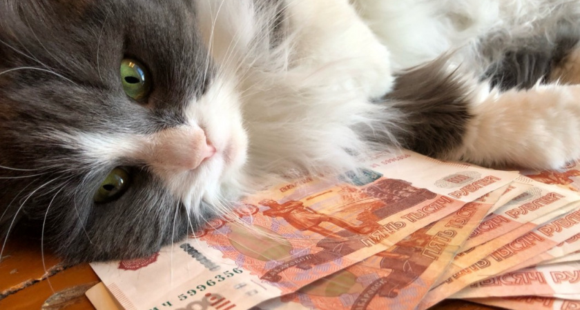 Такого не было 10 лет: женщины обошли мужчин по одной категории выплат