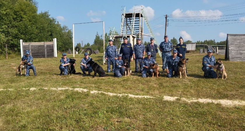 В кировском УФСИН выбрали лучших среди кинологов
