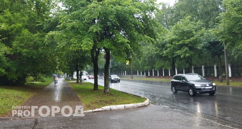 Дождливо и туманно: какой будет погода в Кирове 11-13 августа