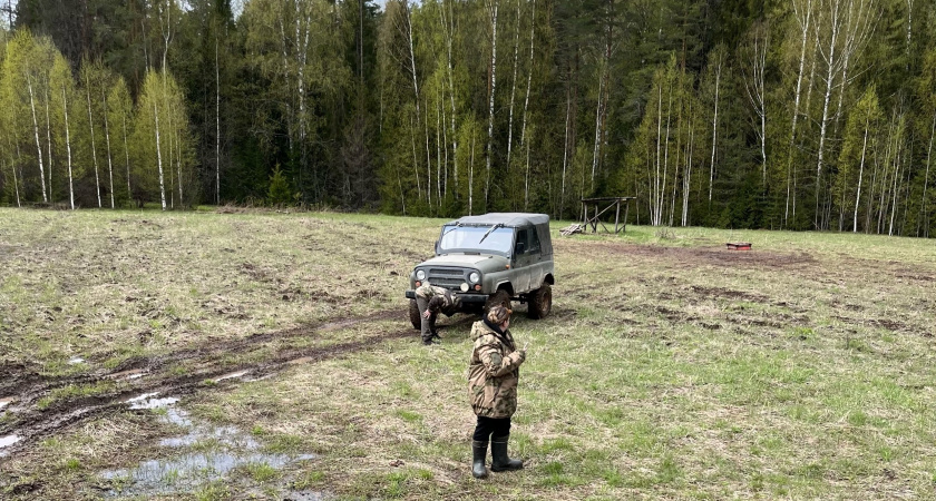 В Кировской области вдвое сократились объемы незаконных рубок леса