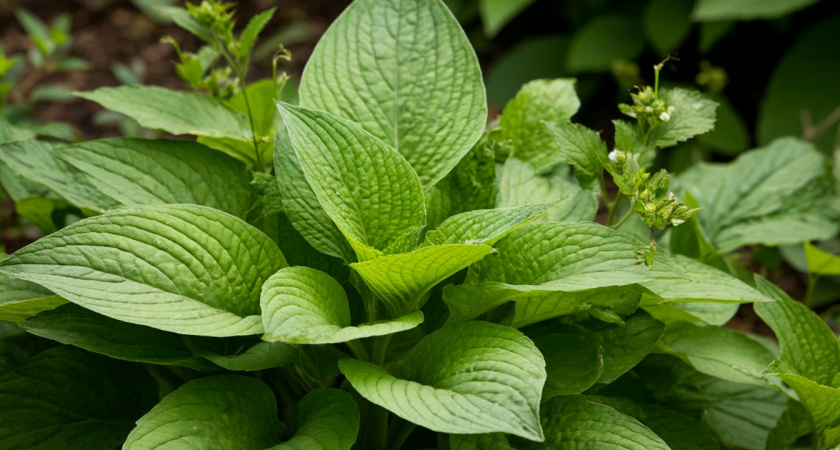 Вот главные проблемы хост: с чем бороться, а что пустить на самотек 