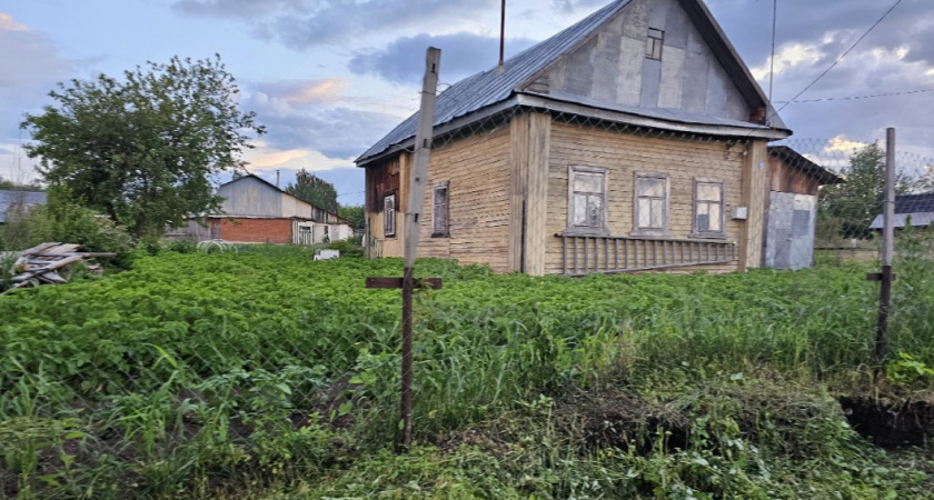 Москвич сбежал из деревни после полгода жизни там. Что и почему ему не понравилось?