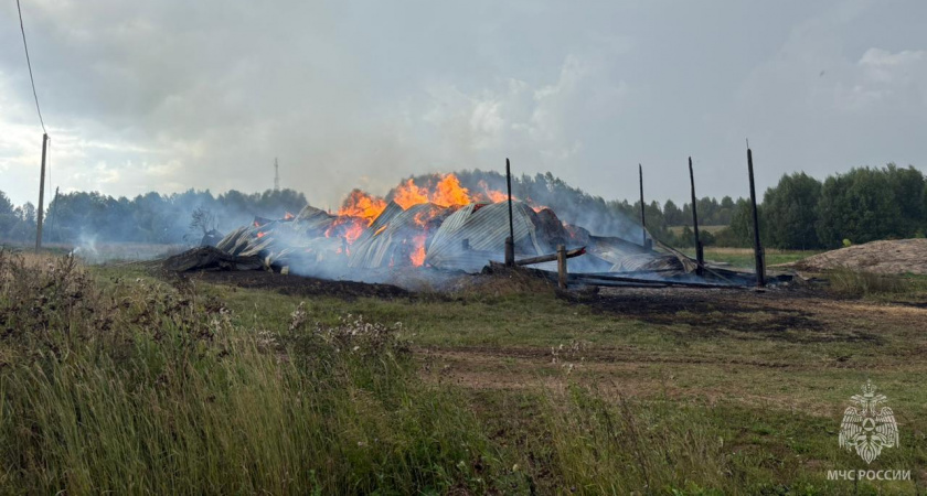 Грозовой разряд спровоцировал пожар на сельхозпредприятии в Слободском районе 14 августа 2025