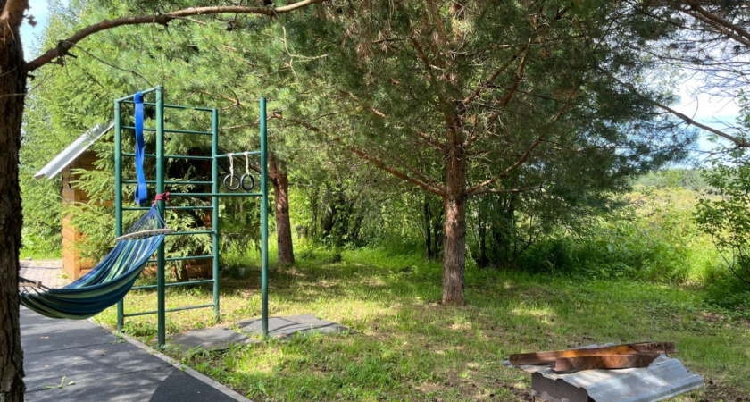 Почему у канадцев никогда не вымерзают огороды: секрет, который подсказали медведи гризли. Но в других странах повторить его не могут