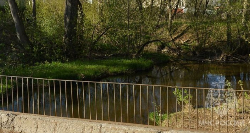 Тело человека достали из реки Хлыновки