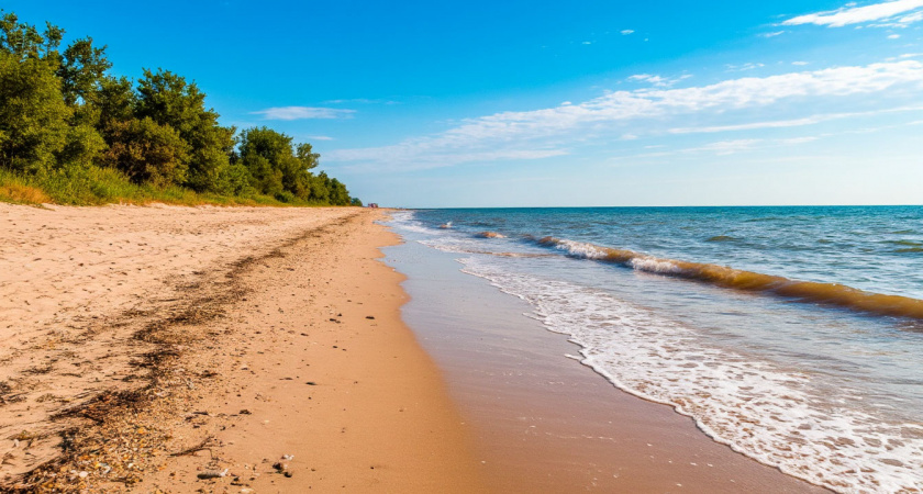 Реальная обстановка на пляжах Азовского моря. Толпы народа, чебуреки, кукуруза и нашествие полчищ медуз