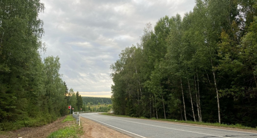 Что за странный гриб "буратино" встречается в центральной России: он еще и съедобный